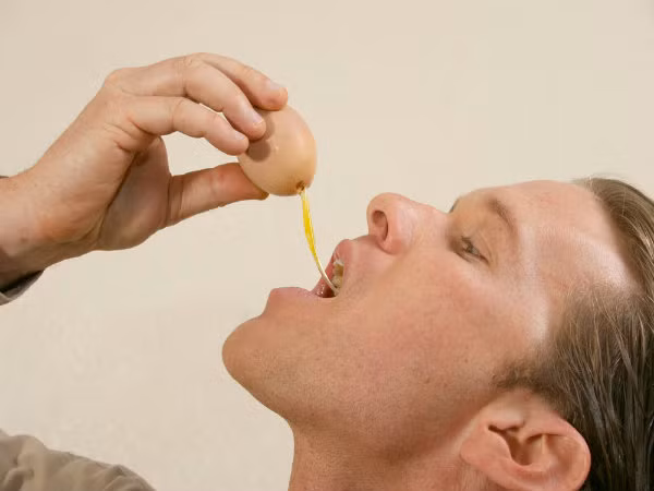 dieu gi xay ra khi ban an trung ga song