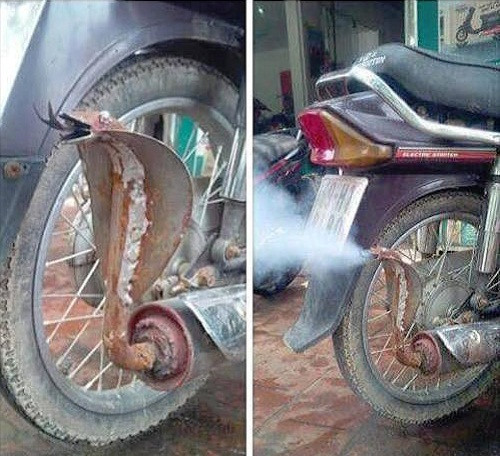 10 anh hai hot nhat facebook trong ngay