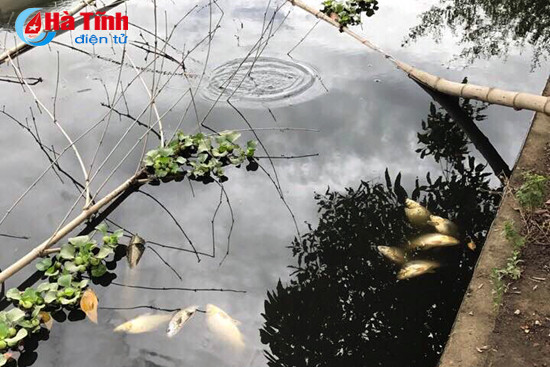 o nhiem tu muong thoat nuoc cua cum cong nghiep