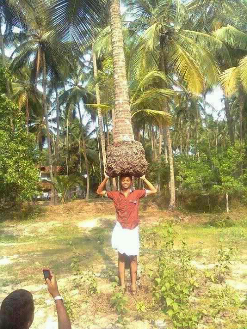 10 anh hai hot nhat facebook ngay