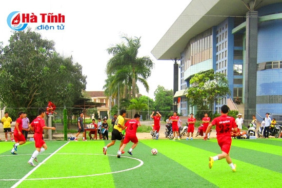 Trung tâm TDTT tỉnh đầu tư hệ thống sân cỏ nhân tạo phục vụ công tác huấn luyện bóng đá trẻ.