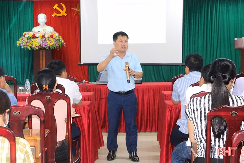 Hướng dẫn giám sát, phòng chống dịch sốt xuất huyết