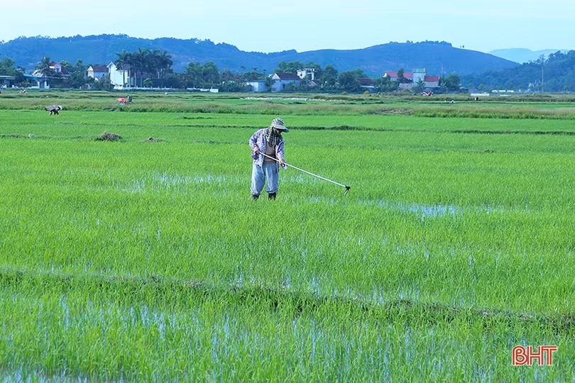 Thiếu nước cục bộ, nông dân Hà Tĩnh xoay đủ đường chống hạn cho lúa