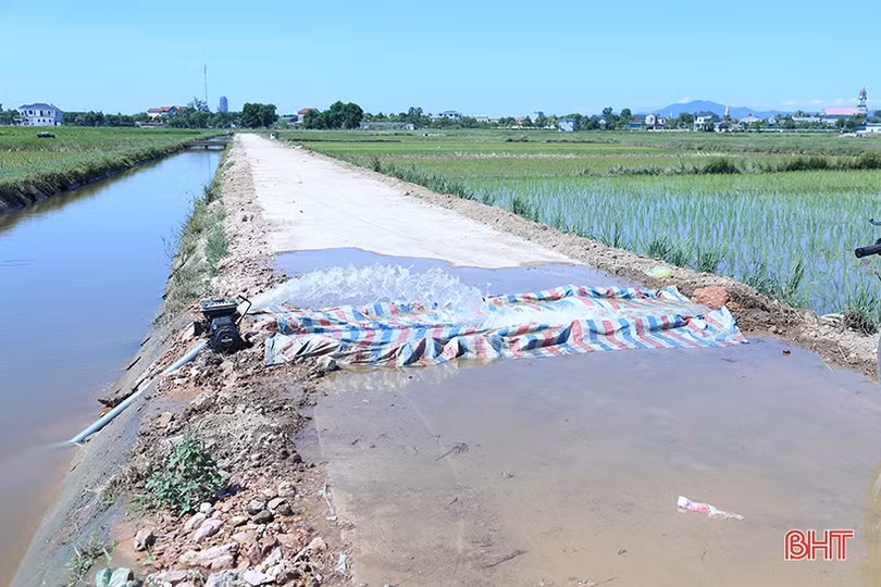 Thiếu nước cục bộ, nông dân Hà Tĩnh xoay đủ đường chống hạn cho lúa