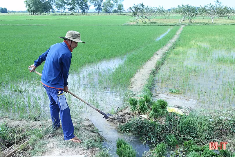 Thiếu nước cục bộ, nông dân Hà Tĩnh xoay đủ đường chống hạn cho lúa