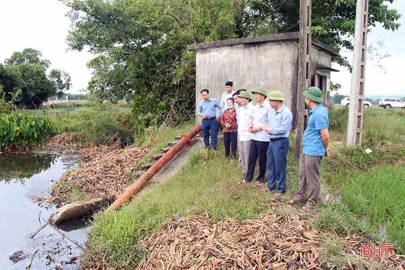 Điều tiết hợp lý nguồn nước tưới, đảm bảo lúa hè thu sinh trưởng và phát triển tốt