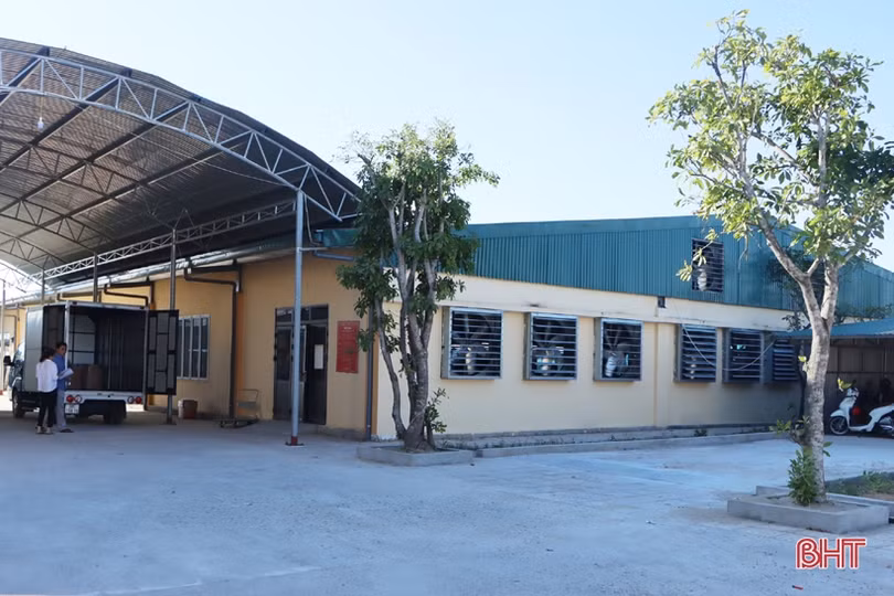 Doanh nghiệp may mặc Hà Tĩnh làm không hết việc đến cuối năm