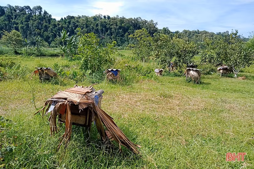 Những mô hình nông - lâm hiệu quả ở Hà Tĩnh sẽ được nhân rộng ra các tỉnh bạn