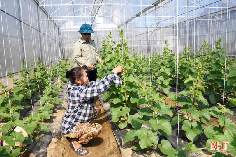 Bà con lương - giáo ở Lộc Hà chung tay xây dựng nông thôn mới