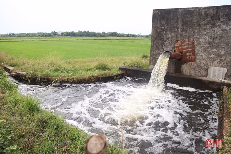 Điều tiết hợp lý nguồn nước tưới, đảm bảo lúa hè thu sinh trưởng và phát triển tốt