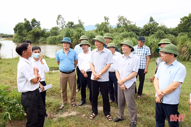 Điều tiết hợp lý nguồn nước tưới, đảm bảo lúa hè thu sinh trưởng và phát triển tốt