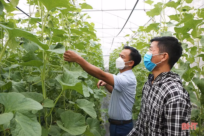 Chuỗi Thành Sen Mart - nhận diện nông sản ven đô TP Hà Tĩnh