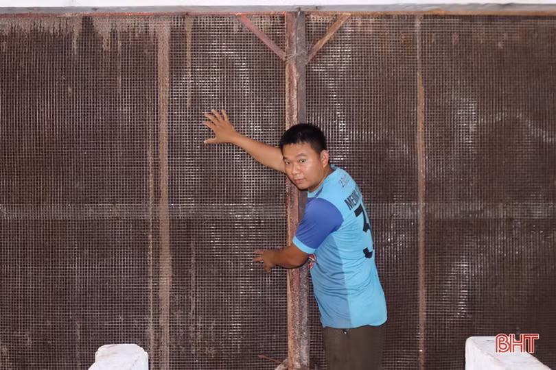 Nông dân Hà Tĩnh lo bảo vệ vật nuôi trước thời tiết nắng nóng 