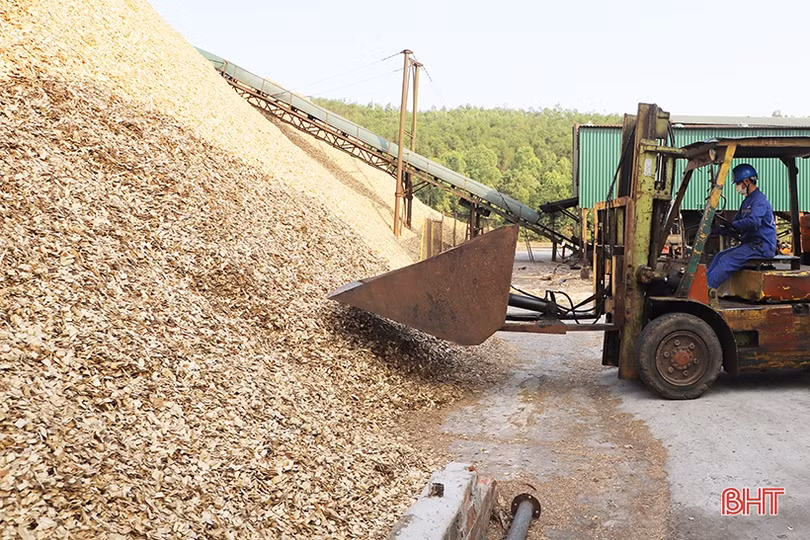 Kim ngạch xuất nhập khẩu hàng hóa Hà Tĩnh đạt hơn 3 tỷ USD trong 6 tháng