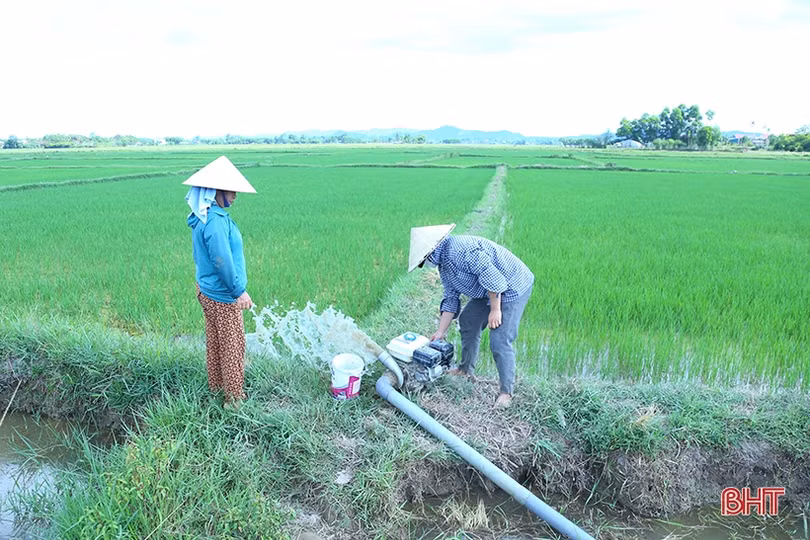 Thiếu nước cục bộ, nông dân Hà Tĩnh xoay đủ đường chống hạn cho lúa