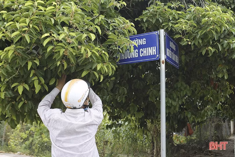 Nhiều biển tên đường, tên ngõ “làm khó” người dân, ảnh hưởng mỹ quan đô thị Hà Tĩnh