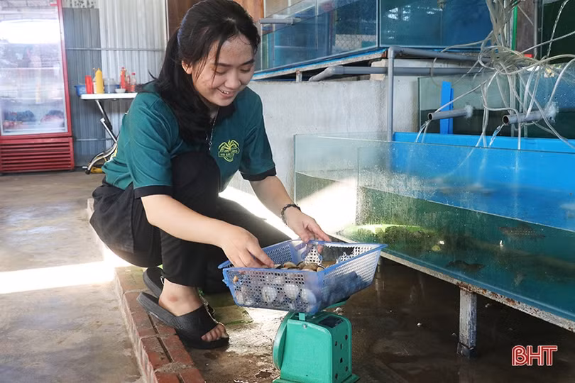 Biển sạch, hải sản tươi ngon - Thạch Hải đón hàng nghìn du khách 