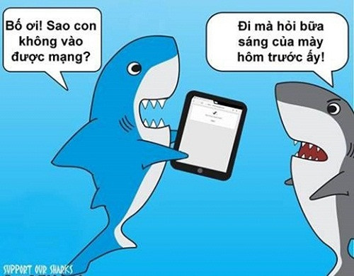 anh che hai huoc noi long dut cap