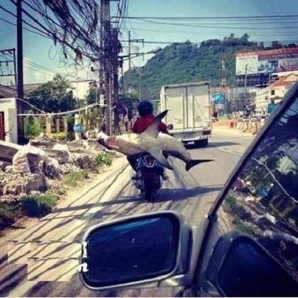 anh che hai huoc noi long dut cap