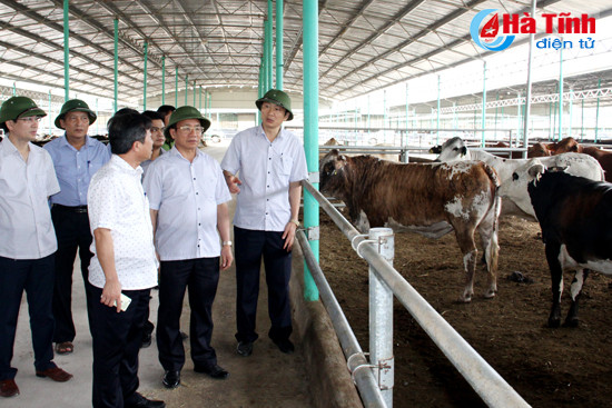 trien khai du an chan nuoi bo dam bao an toan ve sinh moi truong