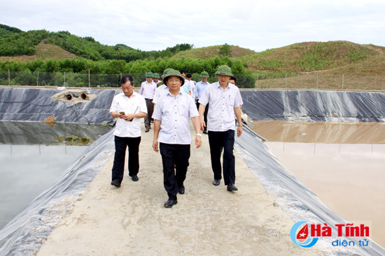 trien khai du an chan nuoi bo dam bao an toan ve sinh moi truong