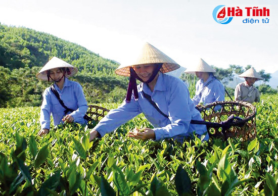 dot sinh hoat chinh tri rong lon cua phu nu ha tinh