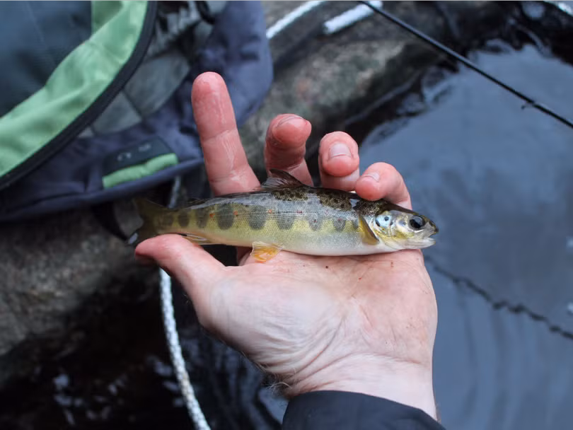 20 so thich pho bien nhat cua gioi sieu giau the gioi