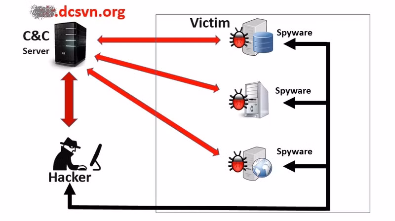 bkav phat hanh cong cu quet ma doc mien phi