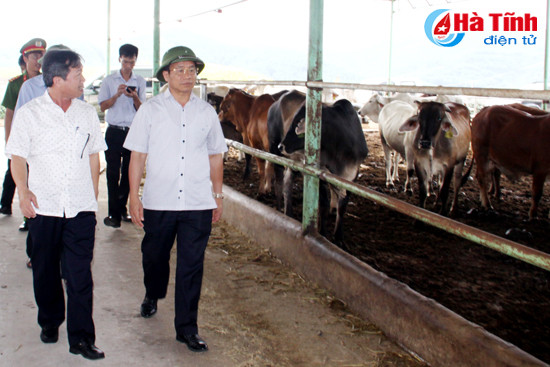 trien khai du an chan nuoi bo dam bao an toan ve sinh moi truong