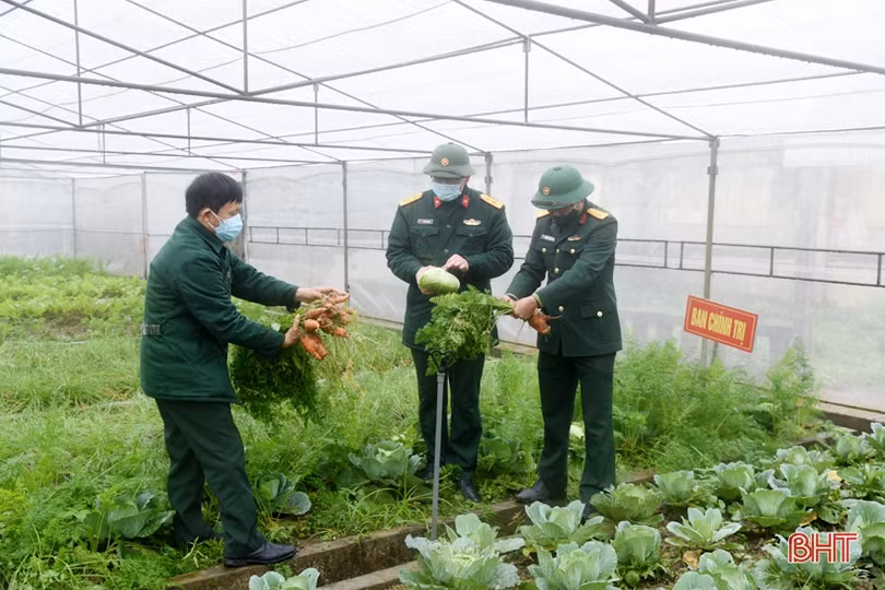 Rau quả đầy luống, gia súc kín chuồng ở các vườn tăng gia của LLVT Hà Tĩnh