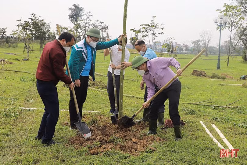 Giáo viên, học sinh trồng cây, chung tay phủ xanh thành phố