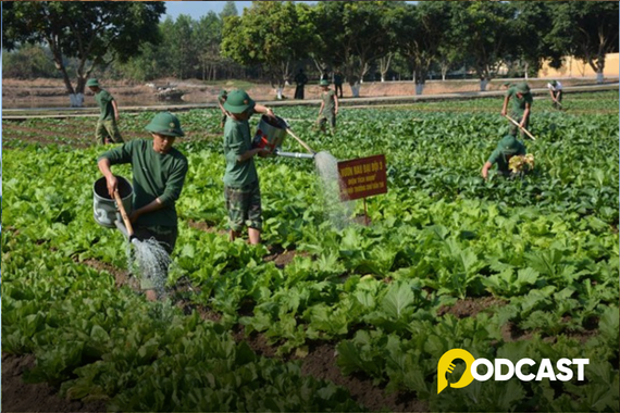 Podcast truyện ngắn: Bố tớ là bộ đội