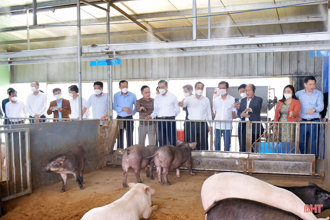 Tạo mọi thuận lợi để Tập đoàn Quế Lâm đầu tư các mô hình nông nghiệp hữu cơ tại Hà Tĩnh