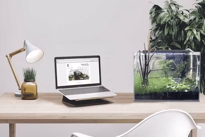 Cách lấy lại động lực làm việc sau kỳ nghỉ dài, điều thứ 4 phải làm ngay kẻo công việc chẳng hiệu quả đâu