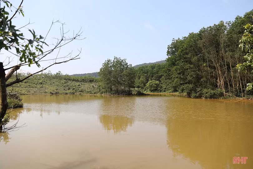 Cựu chiến binh Hà Tĩnh vượt khó, “chinh phục” đồi hoang 