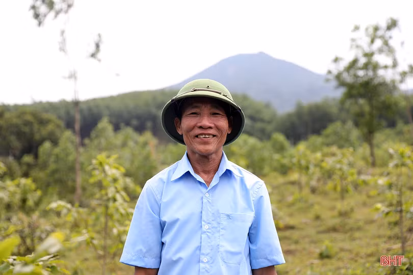 Cựu chiến binh Hà Tĩnh vượt khó, “chinh phục” đồi hoang 