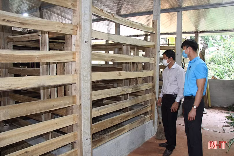 Trại nuôi hươu “khủng” của bí thư đoàn xã ở Hà Tĩnh