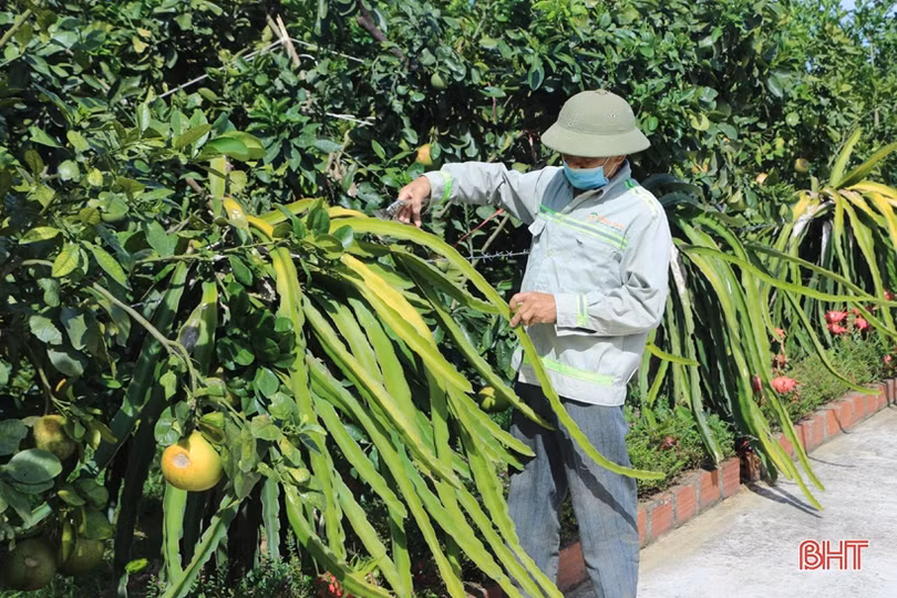 Người dân Vũ Quang thi đua hướng tới kỷ niệm ngày sinh Đình nguyên Tiến sỹ Phan Đình Phùng