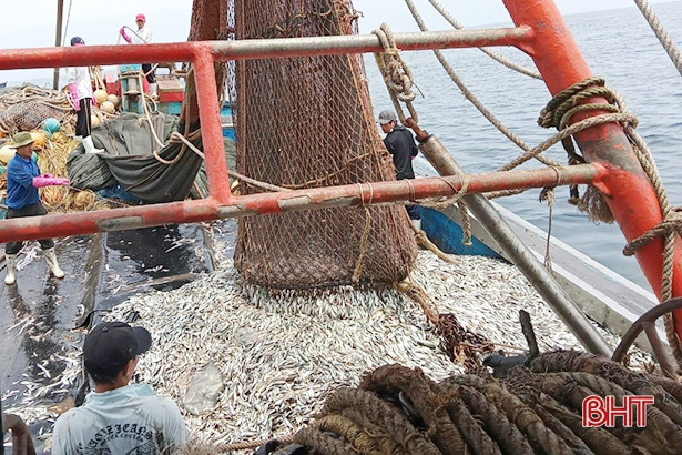 Hà Tĩnh: Bắt 2 tàu giã cào đánh bắt hải sản sai vùng biển quy định