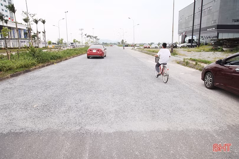 Dắm vá, trồng mới cây xanh trên đường Ngô Quyền ở TP Hà Tĩnh 