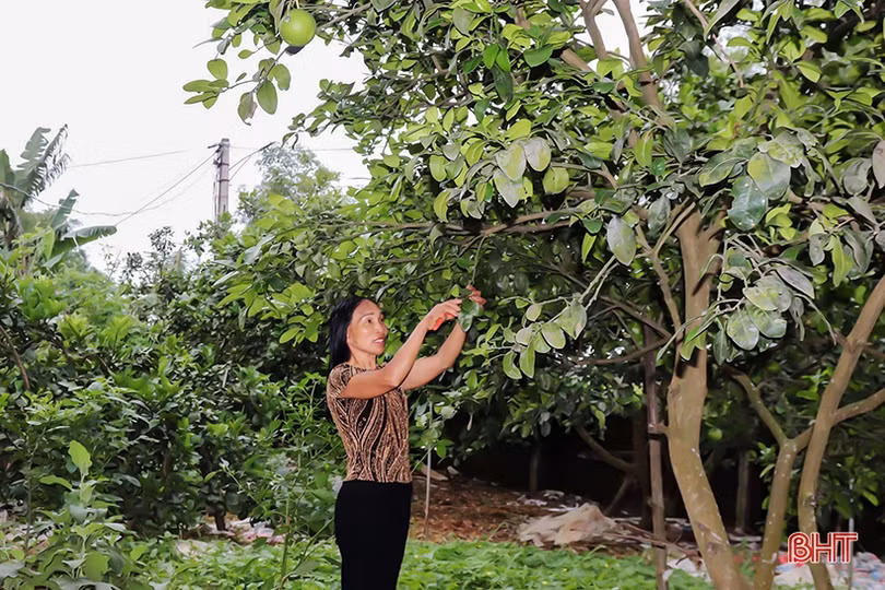 K130 - từ làng đến tổ dân phố