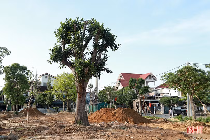 Khẩn trương hoàn thành các công trình mừng kỷ niệm 65 năm Ngày Bác Hồ về thăm Hà Tĩnh
