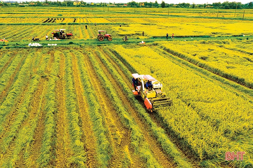 Nông nghiệp Hà Tĩnh vượt “sóng lớn”, trụ đỡ vững chắc cho nền kinh tế