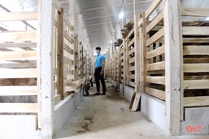 Trại nuôi hươu “khủng” của bí thư đoàn xã ở Hà Tĩnh