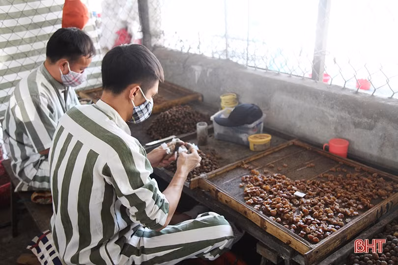 Khảo sát thí điểm tổ chức lao động, dạy nghề cho phạm nhân ngoài trại giam