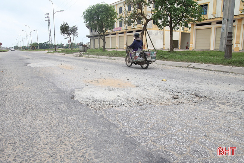 Dắm vá, trồng mới cây xanh trên đường Ngô Quyền ở TP Hà Tĩnh 