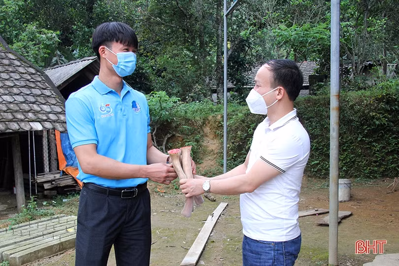 Trại nuôi hươu “khủng” của bí thư đoàn xã ở Hà Tĩnh