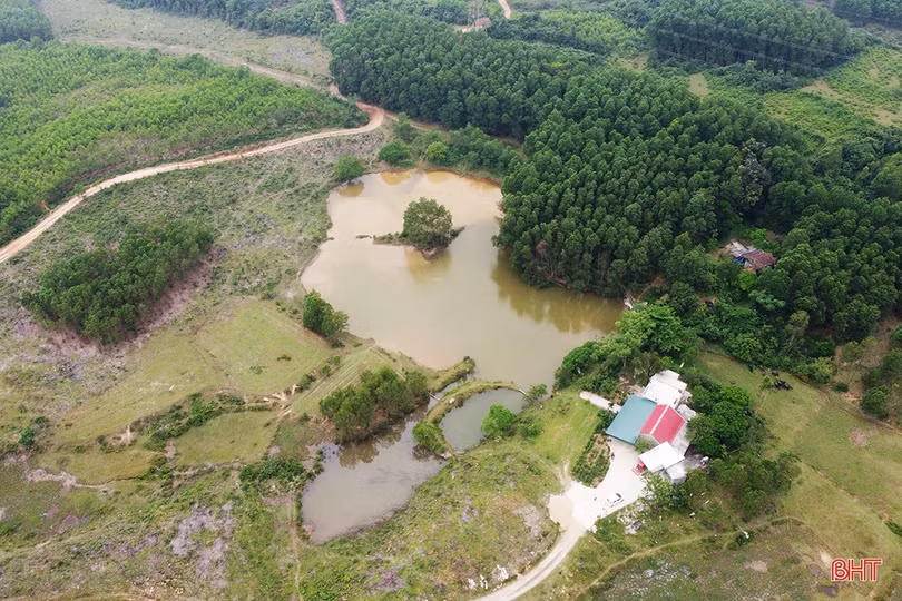 Cựu chiến binh Hà Tĩnh vượt khó, “chinh phục” đồi hoang 