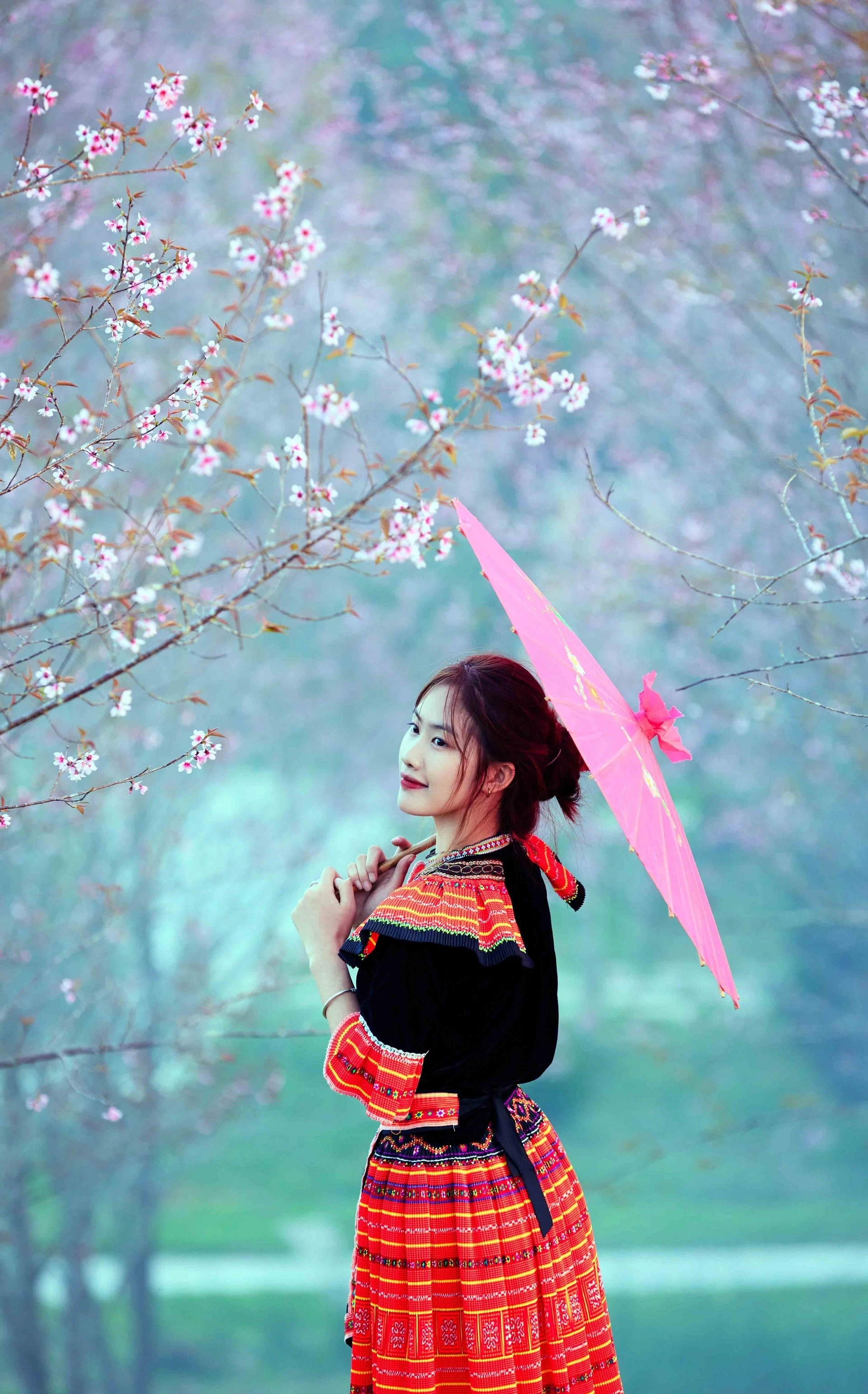 Ngắm sắc hoa rực rỡ, quyến rũ trên Tứ đại đỉnh đèo Pha Đin