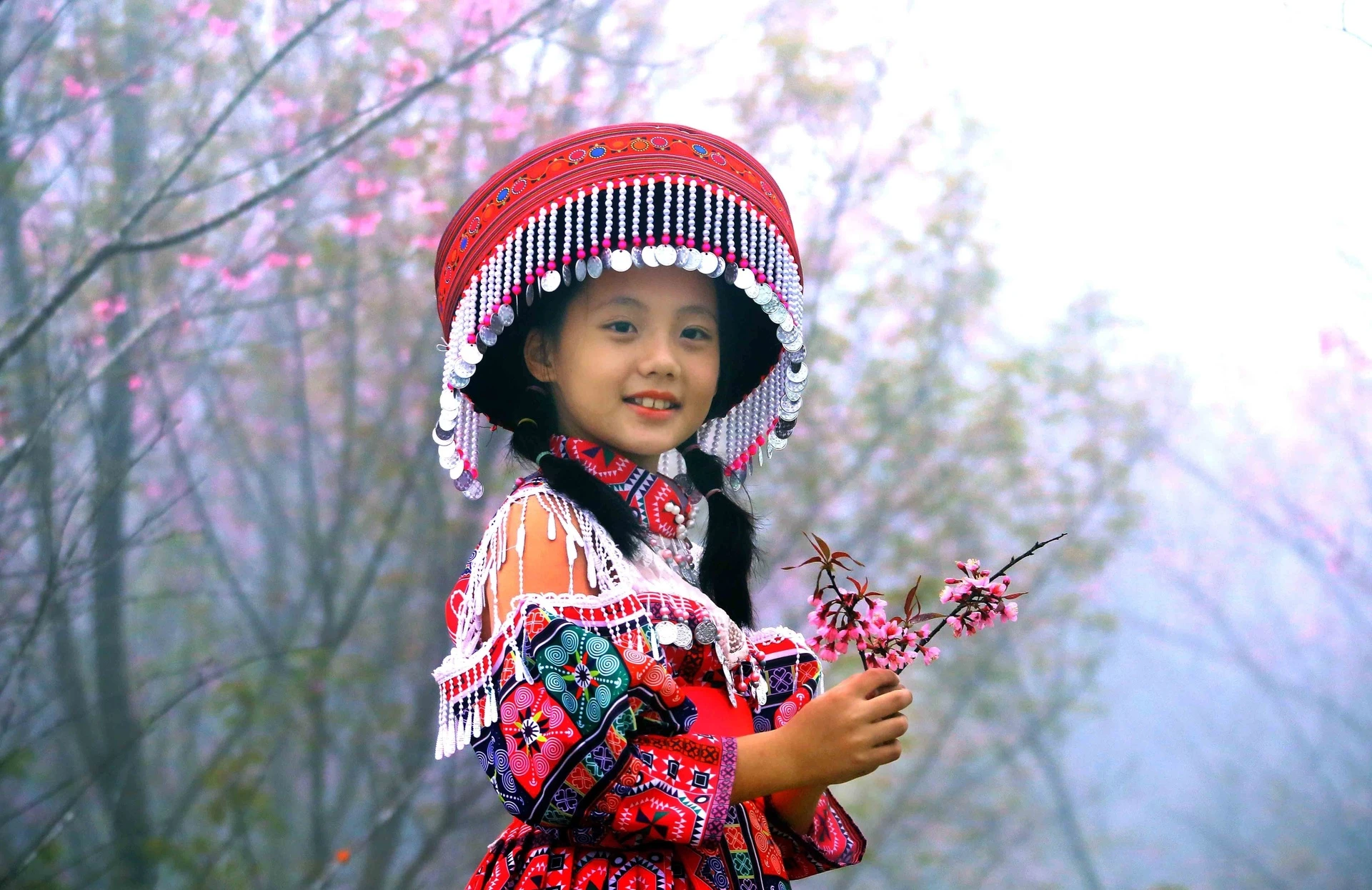 Ngắm sắc hoa rực rỡ, quyến rũ trên Tứ đại đỉnh đèo Pha Đin